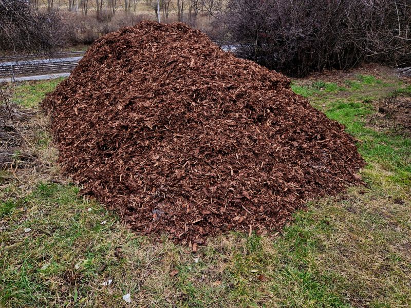Landscape with Brown Mulch
